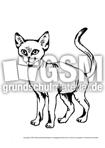 Katze-7.pdf